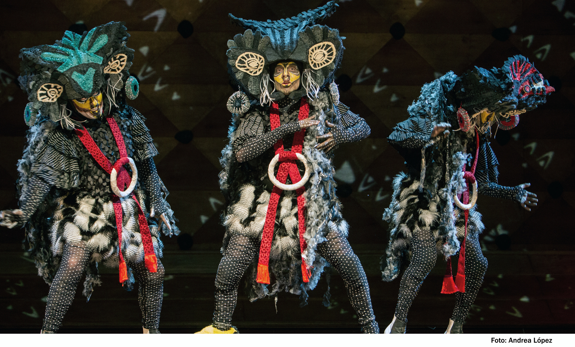 La imagen de hoy • Día 12