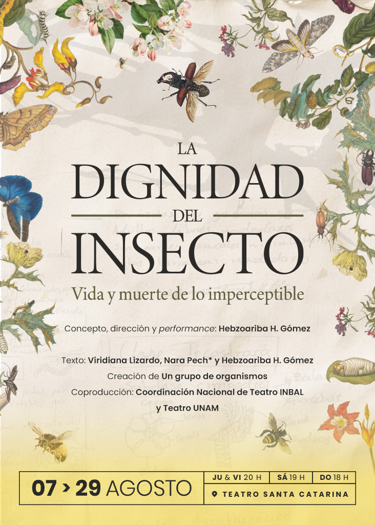 la dignidad del insecto