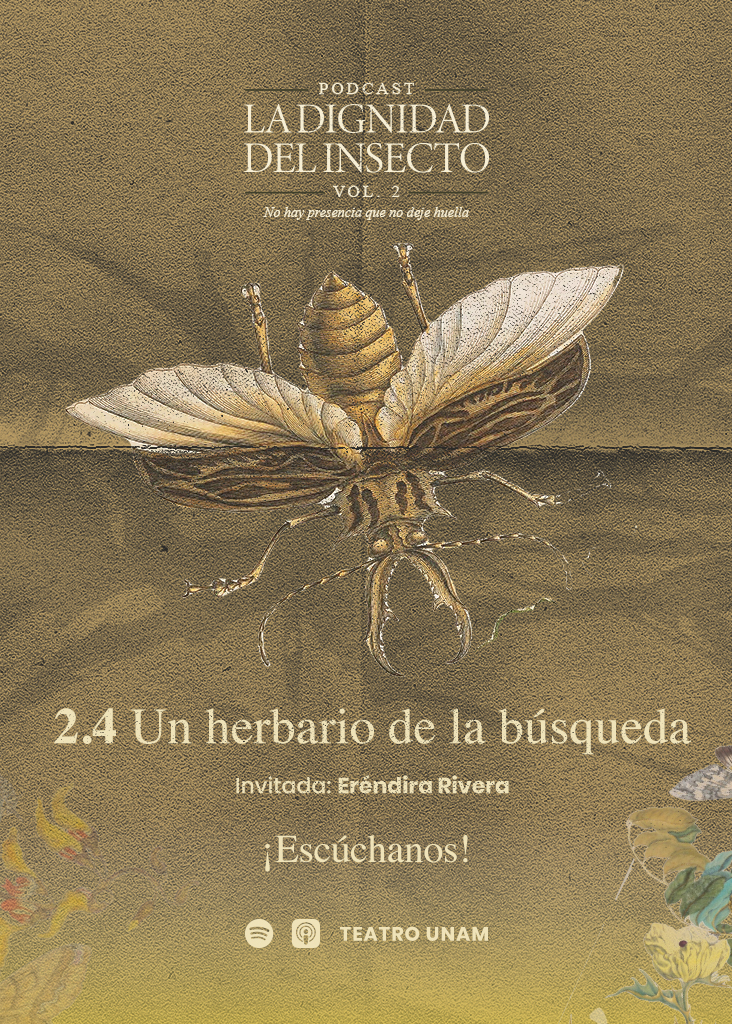 Insecto