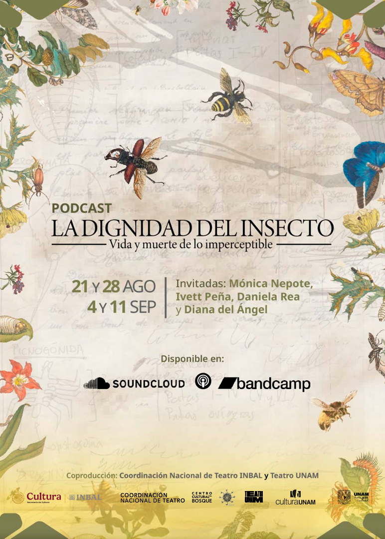 Insecto